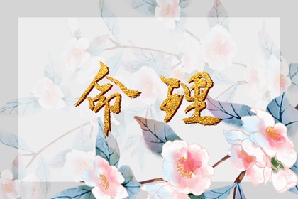 八字看财富程度,八字忌神查询,对生辰八字,石家庄看八字,八字简批免费,流盘测算免费